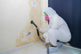 Biohazard Mold Removal in Marlinton, WV